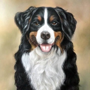 dog-03